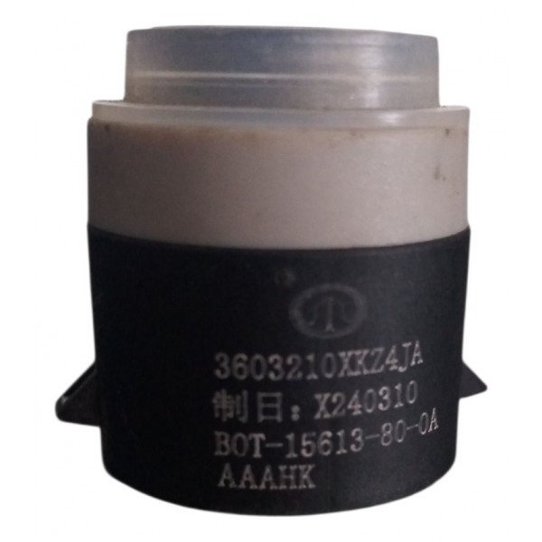 Sensor Estacionamento Traseiro Central Gwm Ora Gt 03 2024