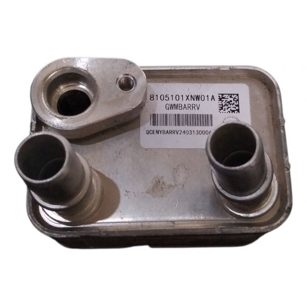 Refrigerador Bateria Gwm Ora Gt 03 2024