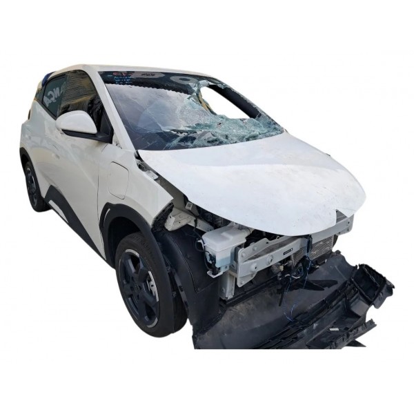 Inversor Byd Dolphin Mini 2024