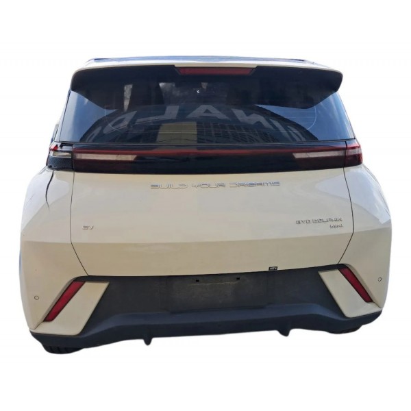 Inversor Byd Dolphin Mini 2024