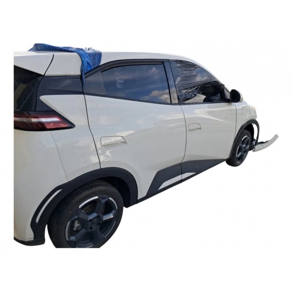 Inversor Byd Dolphin Mini 2024