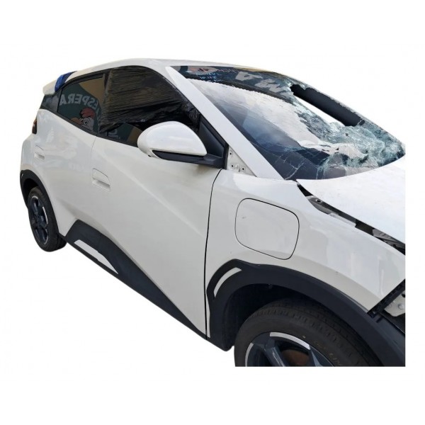 Inversor Byd Dolphin Mini 2024
