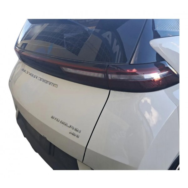 Tampa De Mala Completa Byd Dolphin Mini Elétrico 2024