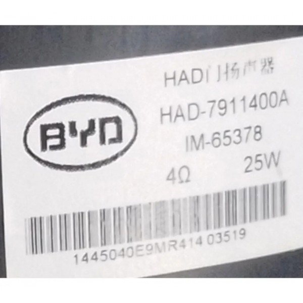 Alto Falante Dianteiro Esquerdo Byd Dolphin Gs 2024-2025