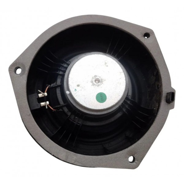 Alto Falante Dianteiro Esquerdo Byd Dolphin Gs 2024-2025