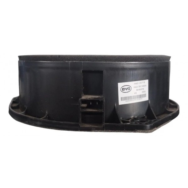 Alto Falante Dianteiro Esquerdo Byd Dolphin Gs 2024-2025