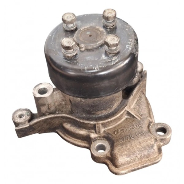 Bomba D'água Hyundai I30 2009 A 2010