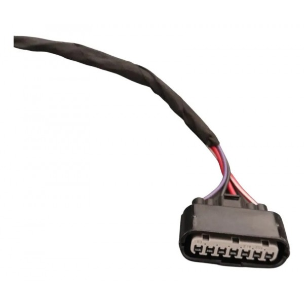 Chicote Porta Traseira Direita Gwm Ora Gt 03 2024