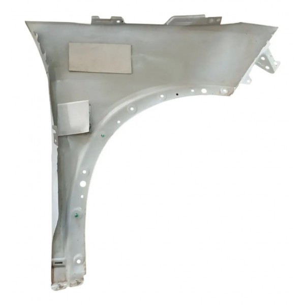 Paralama Dianteira Esquerda Byd Dolphin 2025