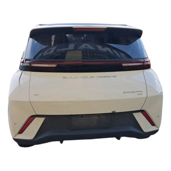 Motor Elétrico Byd Dolphin Mini 2023 A 2026