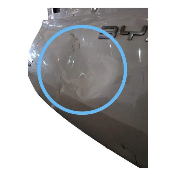 Tampa Porta-malas Byd Dolphin Mini 2024 2025