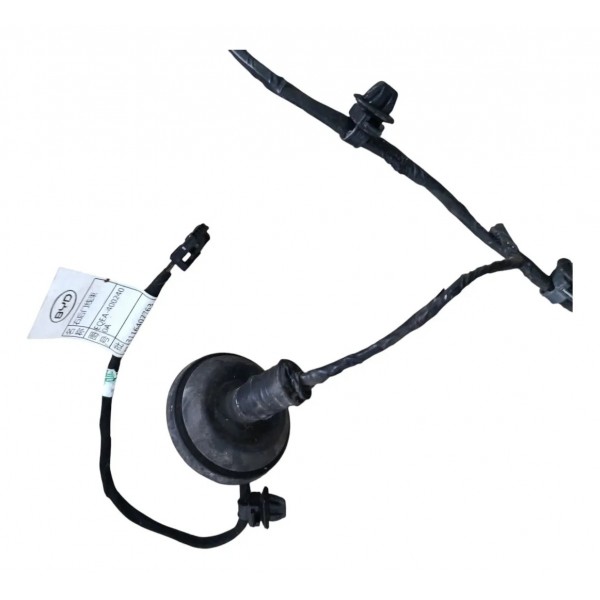 Chicote Porta Traseira Direita Byd Dolphin Mini 2024 2025